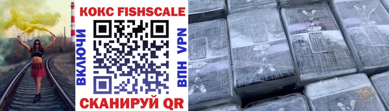 Кокаин Fish Scale  дарнет шоп  Асино 