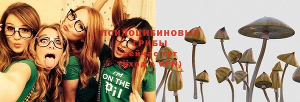 эйфоретик Алексин